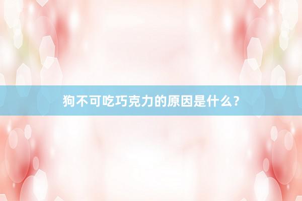 狗不可吃巧克力的原因是什么？